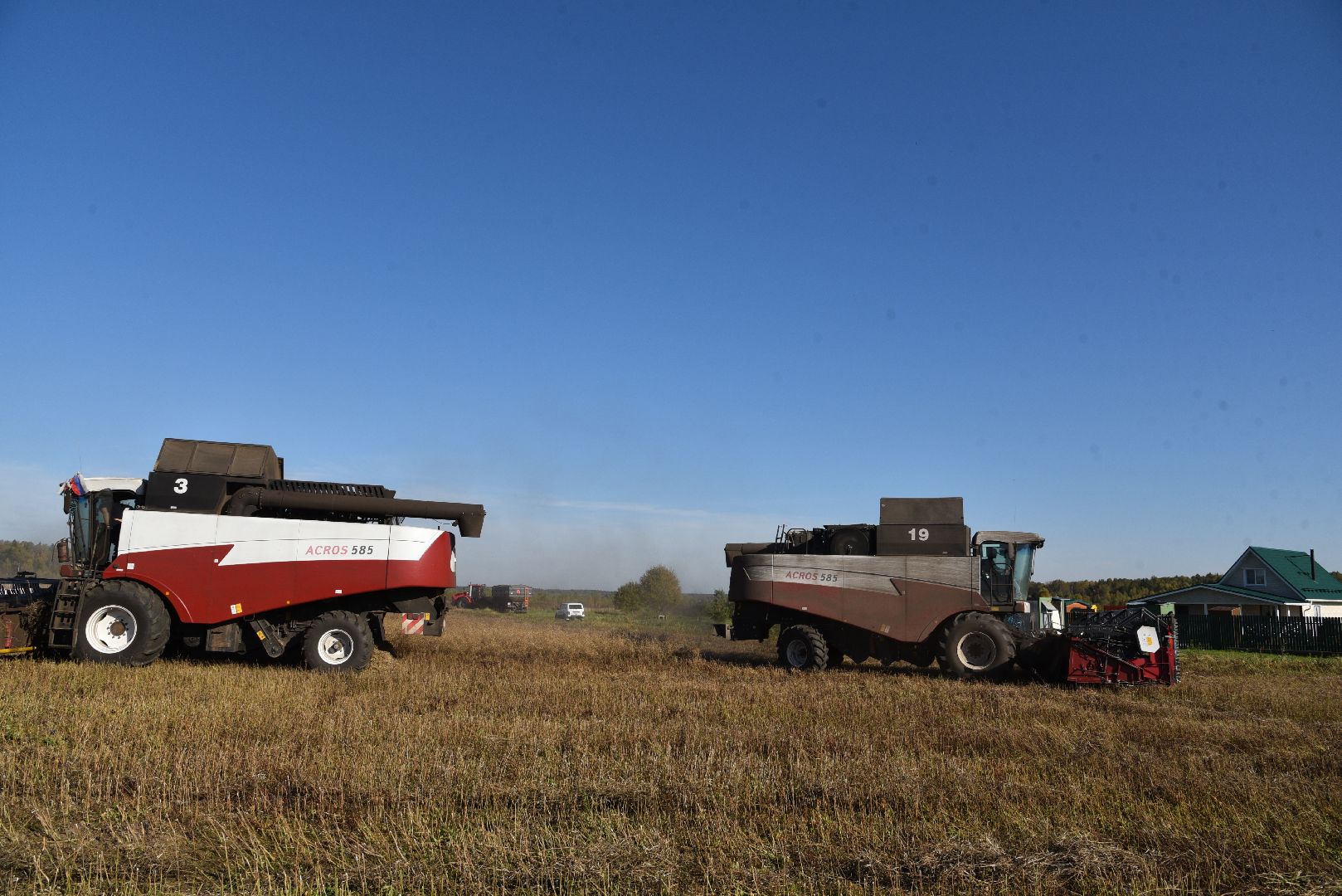 лотошино, сельское хозяйство, уборка урожая, урожай 2024, рапс,