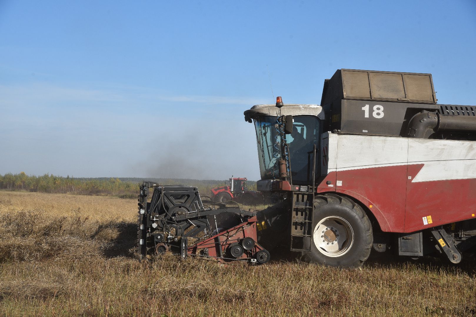 лотошино, сельское хозяйство, уборка урожая, урожай 2024, рапс,