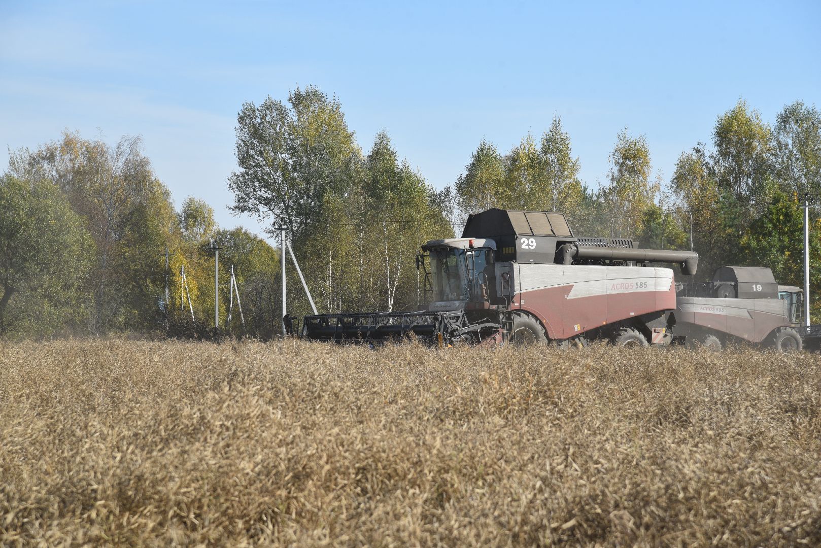 лотошино, сельское хозяйство, уборка урожая, урожай 2024, рапс,
