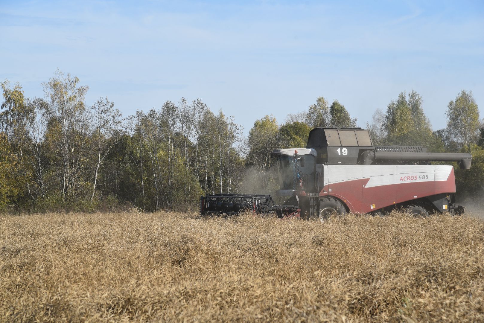 лотошино, сельское хозяйство, уборка урожая, урожай 2024, рапс,