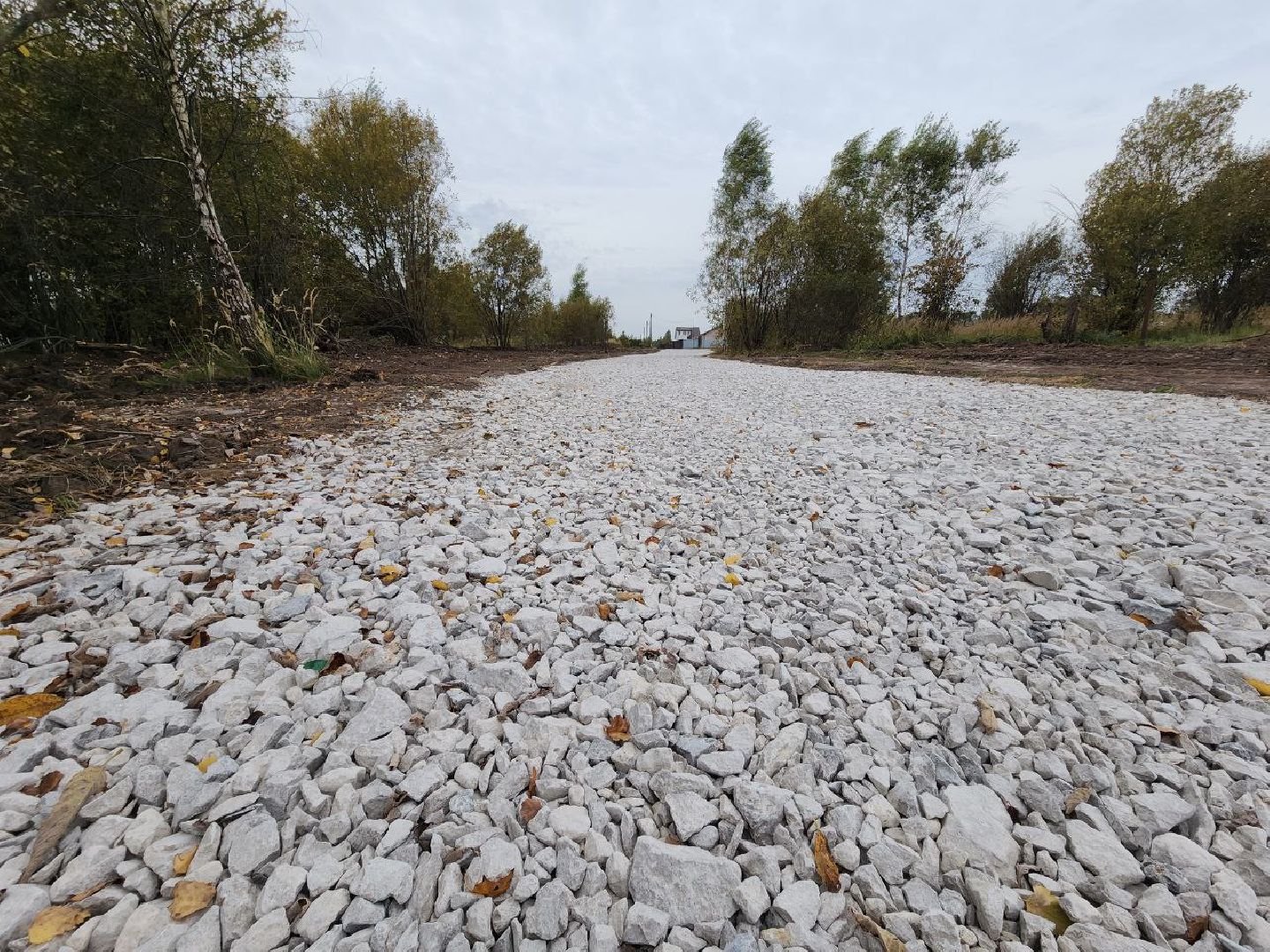 пущино, серпухов, шепилово, дороги, многодетные семьи,