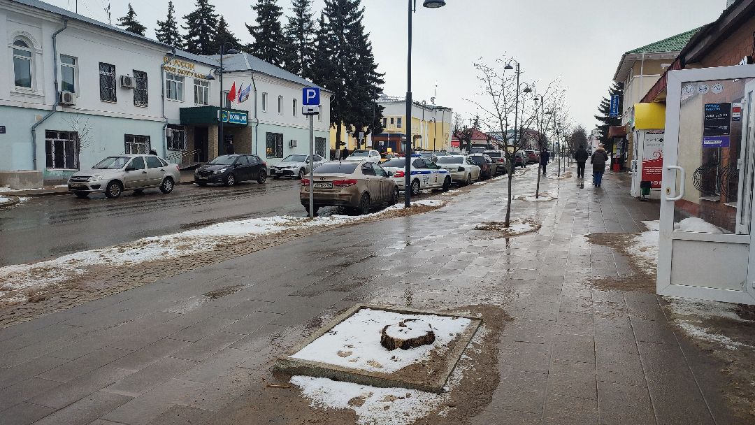 Кашира, общество