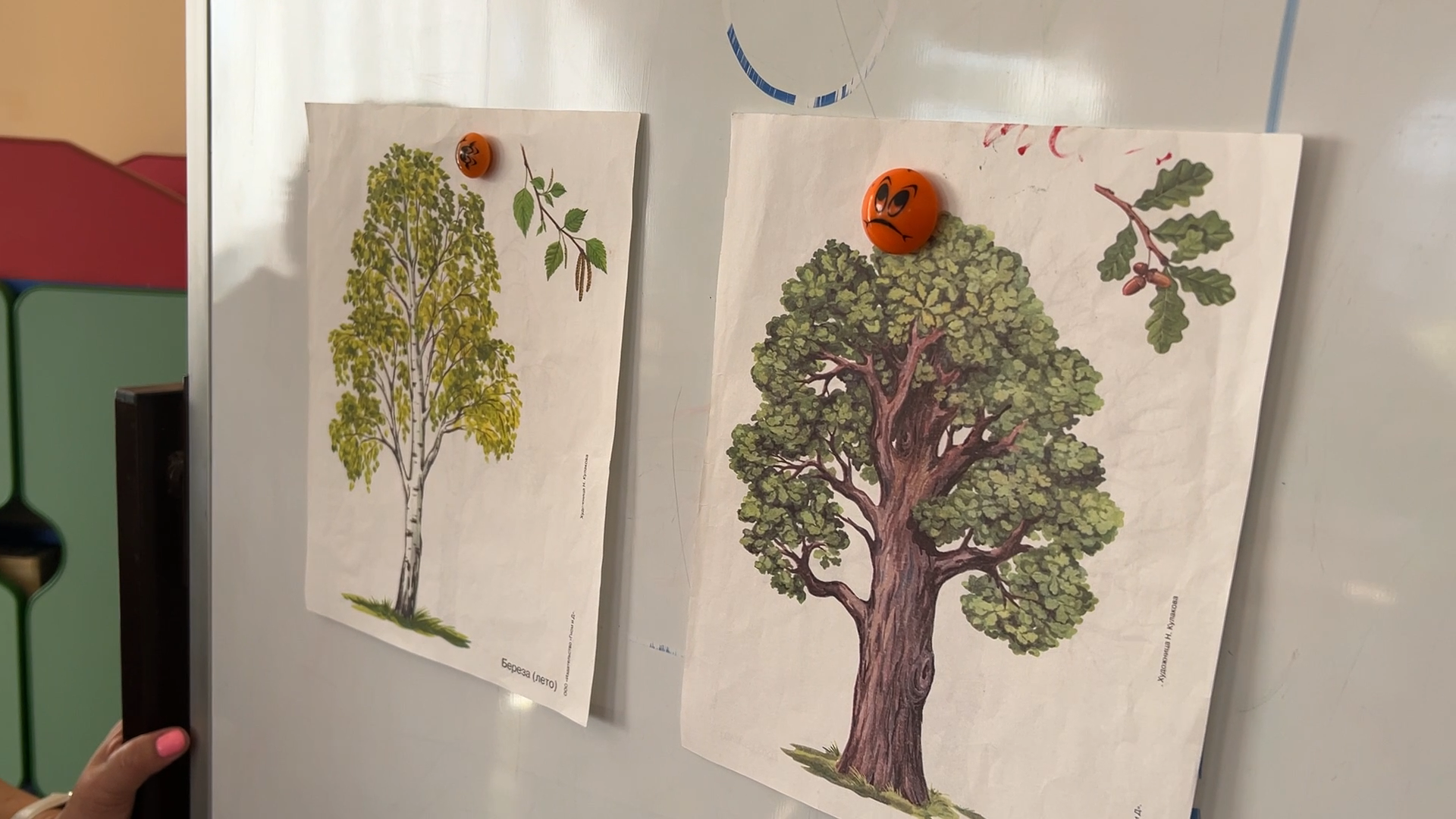 школа попова власиха, день воспитателя, власиха поповка, детский сад сказка, Власиха день воспитателя,