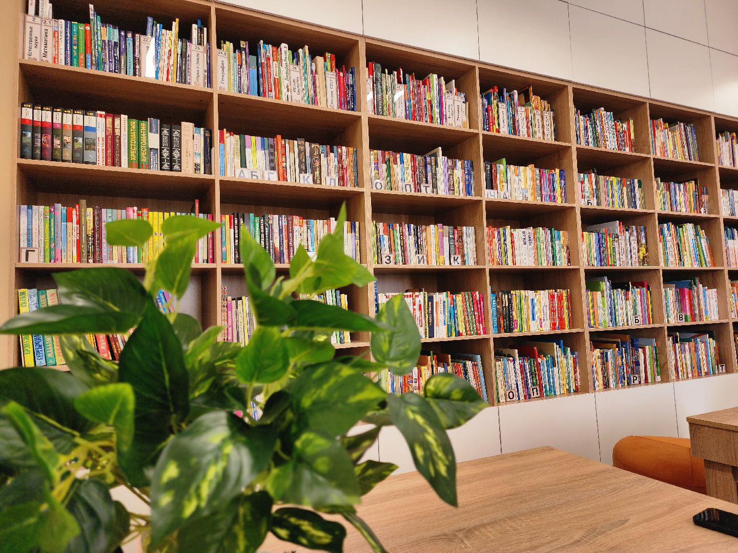 библиотека, руза, модельная библиотека, арт-пространство, рузский городской округ, московская область, подмосковье,