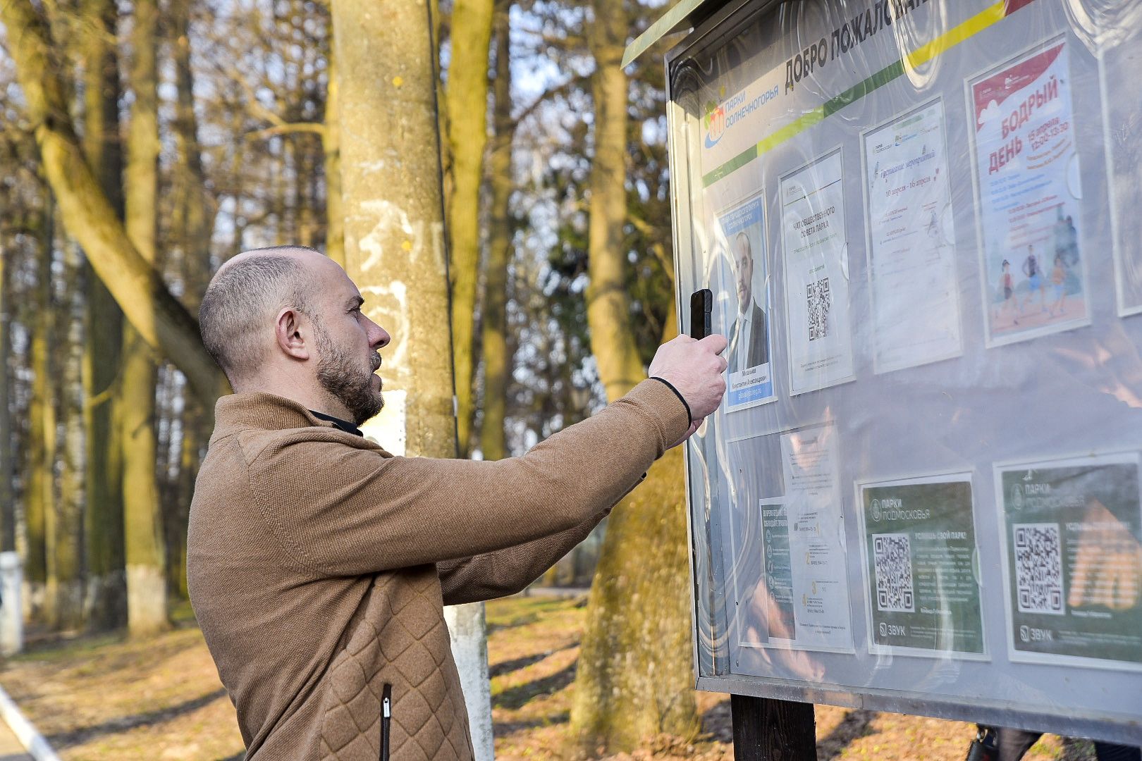 Солнечногорск, благоустройство, парк, набережная, озеро сенеж