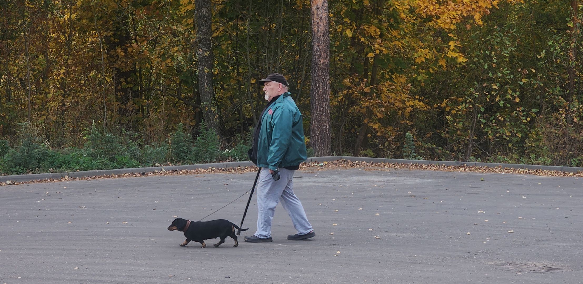 Звенигород, Благоустройство, Спорт,