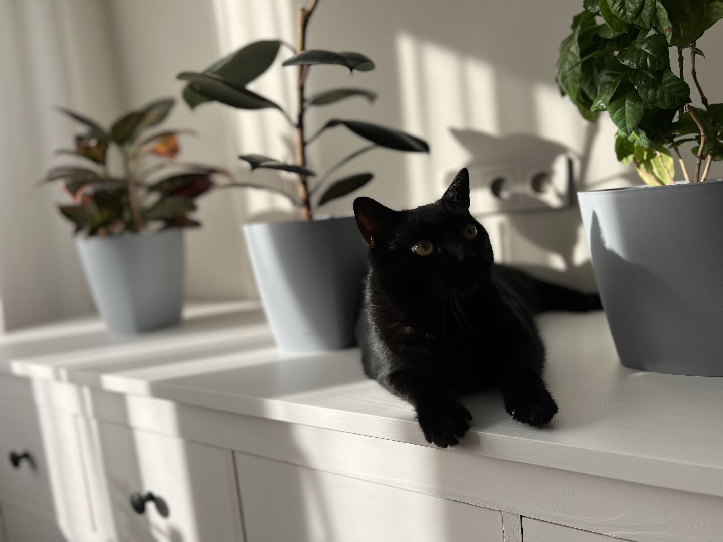 социальная ипотека, губернатор московской области андрей воробьев, образование в подмосковье, образование в подольске, школа, день учителя,