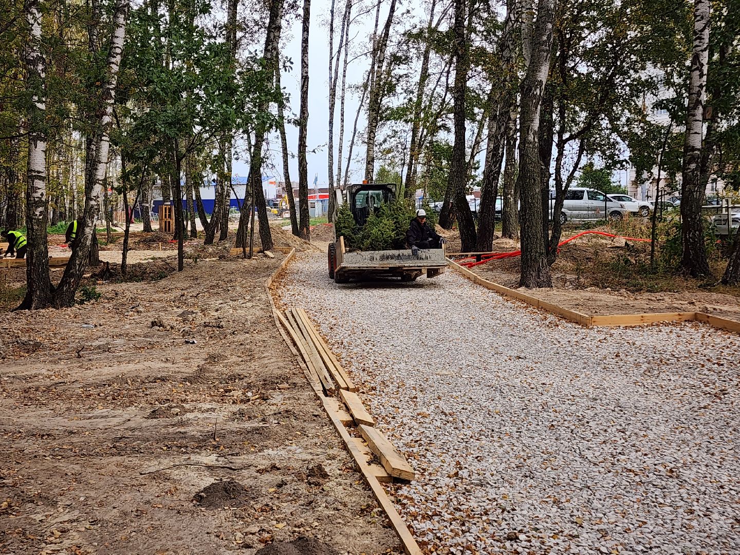 Чехов, микрорайон Губернский, лесопарк, лесопарковая зона отдыха, строительство, благоустройство, программа Парки в лесу, губернатор московской области, глава округа михаил собакин,