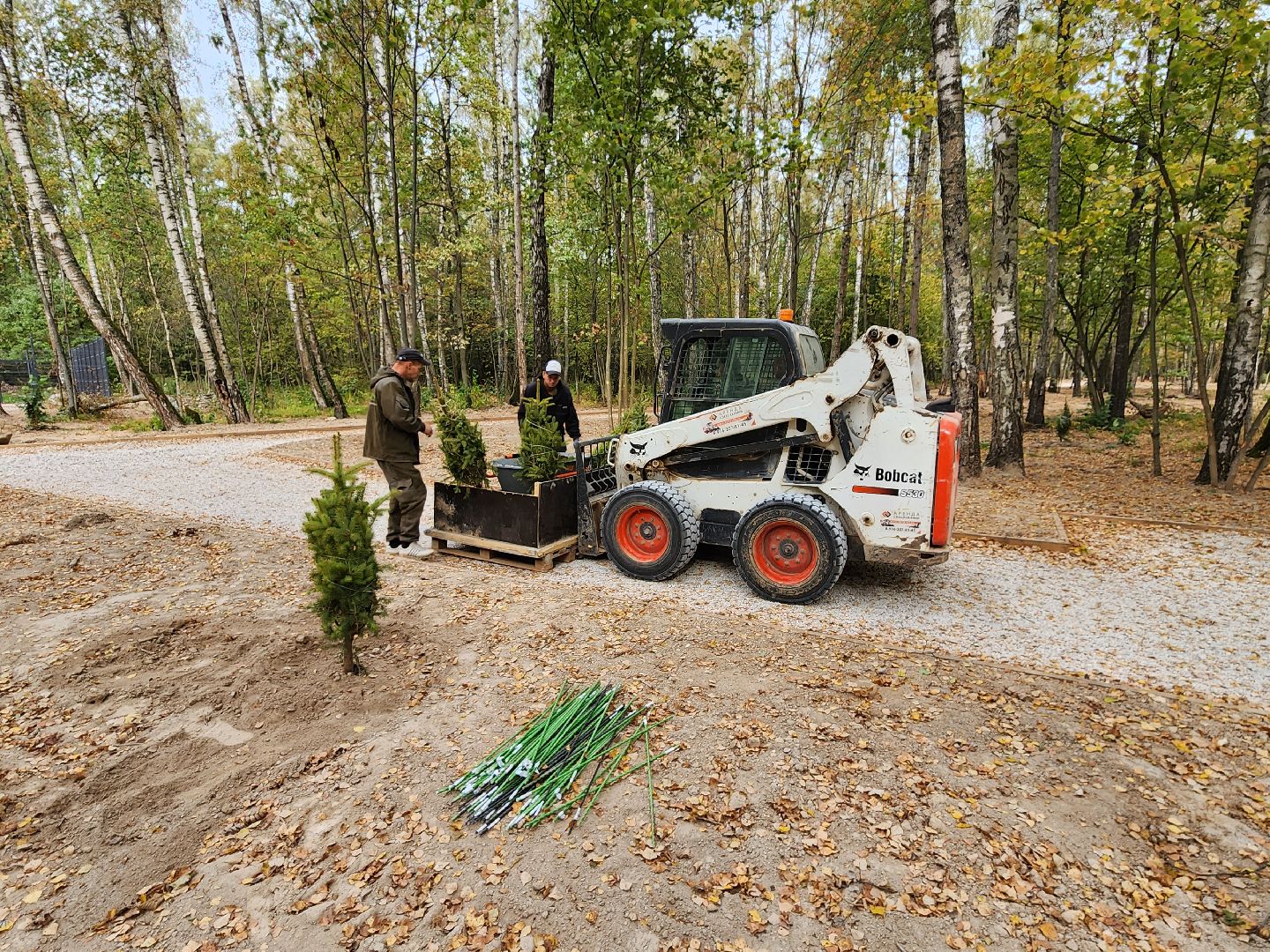 Чехов, микрорайон Губернский, лесопарк, лесопарковая зона отдыха, строительство, благоустройство, программа Парки в лесу, губернатор московской области, глава округа михаил собакин,