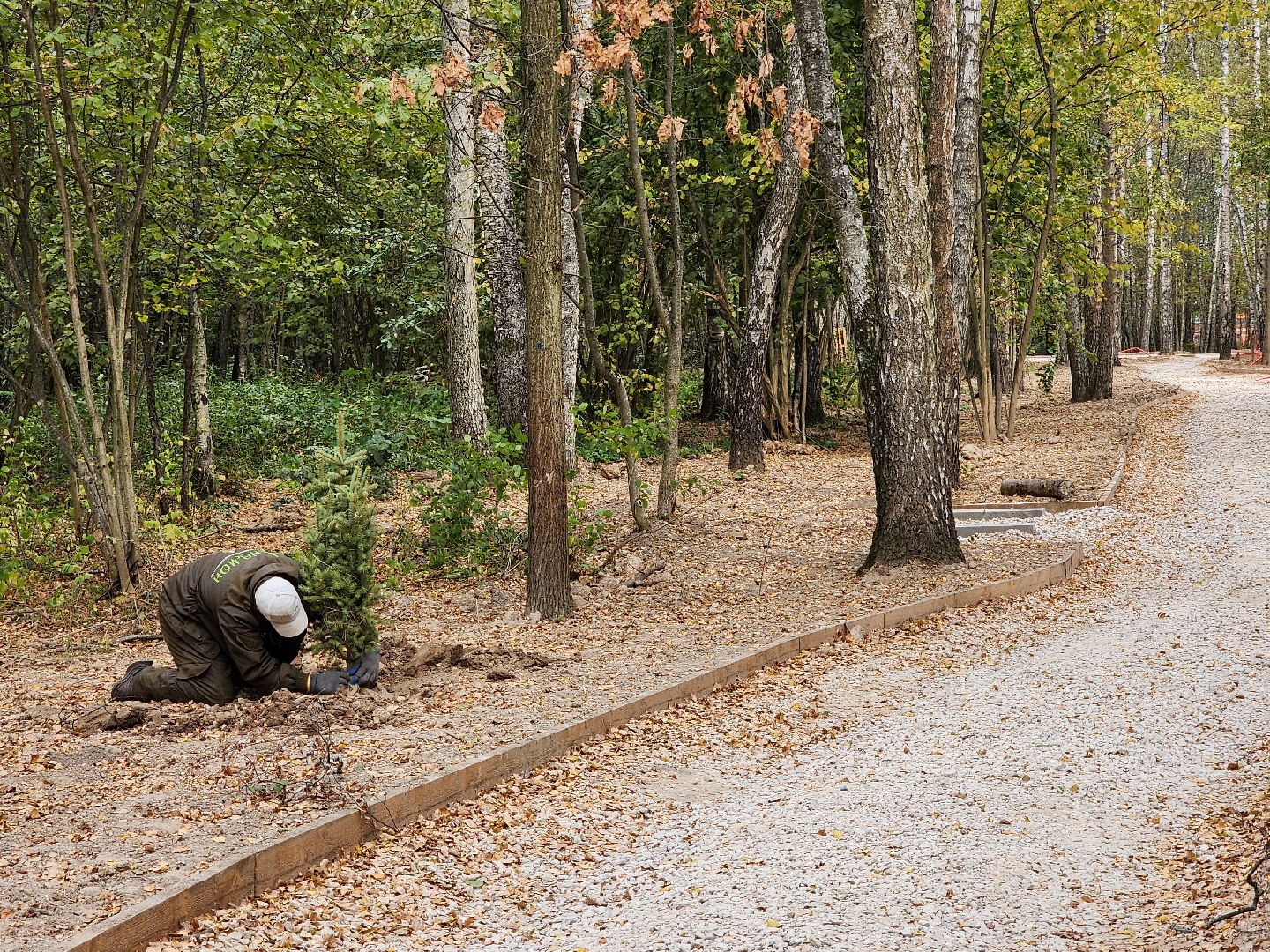 Чехов, микрорайон Губернский, лесопарк, лесопарковая зона отдыха, строительство, благоустройство, программа Парки в лесу, губернатор московской области, глава округа михаил собакин,