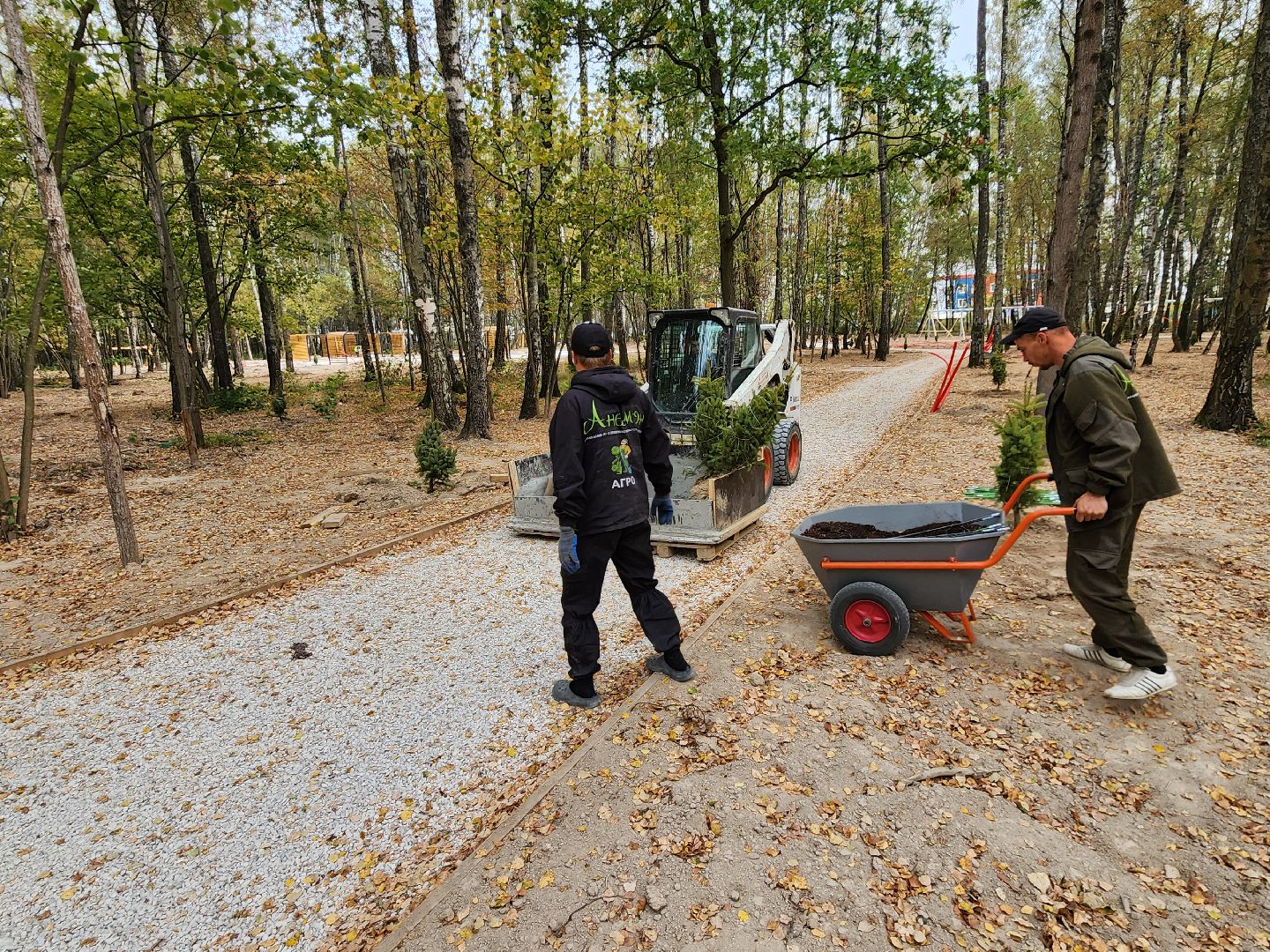 Чехов, микрорайон Губернский, лесопарк, лесопарковая зона отдыха, строительство, благоустройство, программа Парки в лесу, губернатор московской области, глава округа михаил собакин,