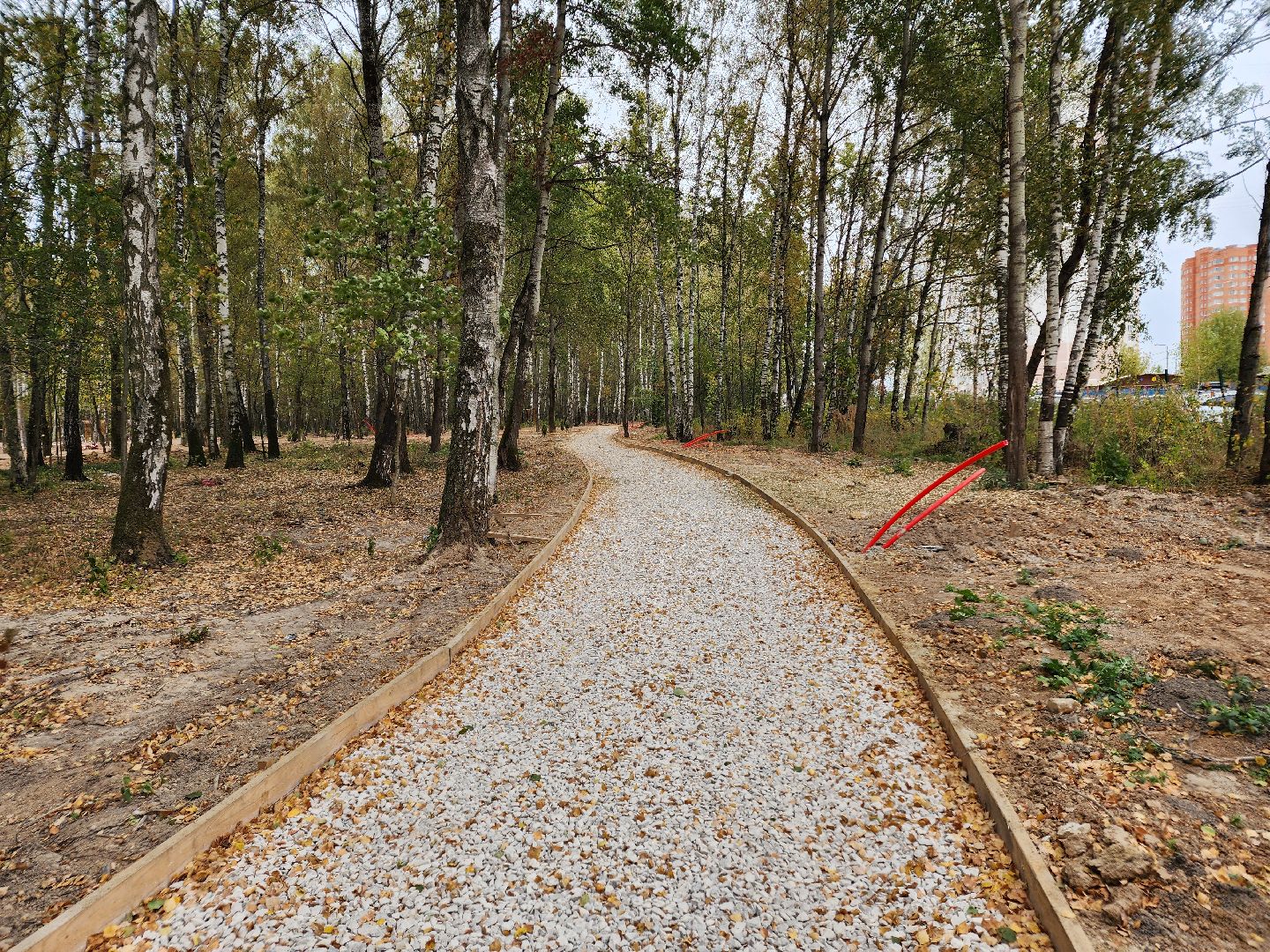 Чехов, микрорайон Губернский, лесопарк, лесопарковая зона отдыха, строительство, благоустройство, программа Парки в лесу, губернатор московской области, глава округа михаил собакин,