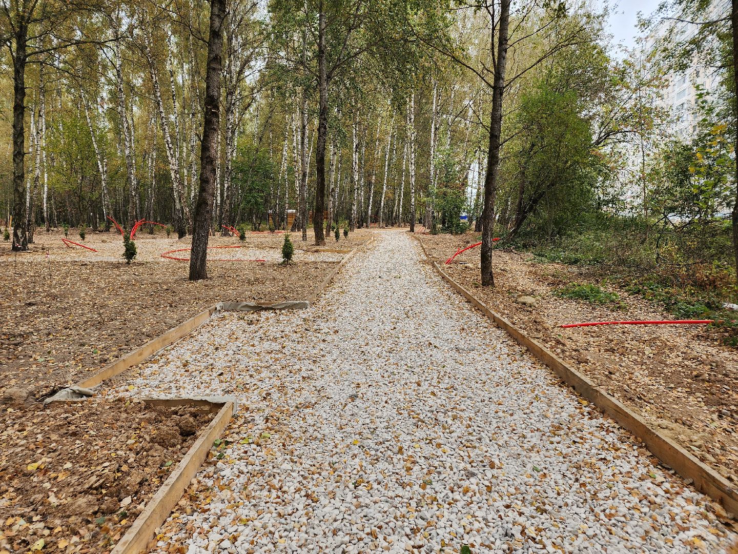 Чехов, микрорайон Губернский, лесопарк, лесопарковая зона отдыха, строительство, благоустройство, программа Парки в лесу, губернатор московской области, глава округа михаил собакин,