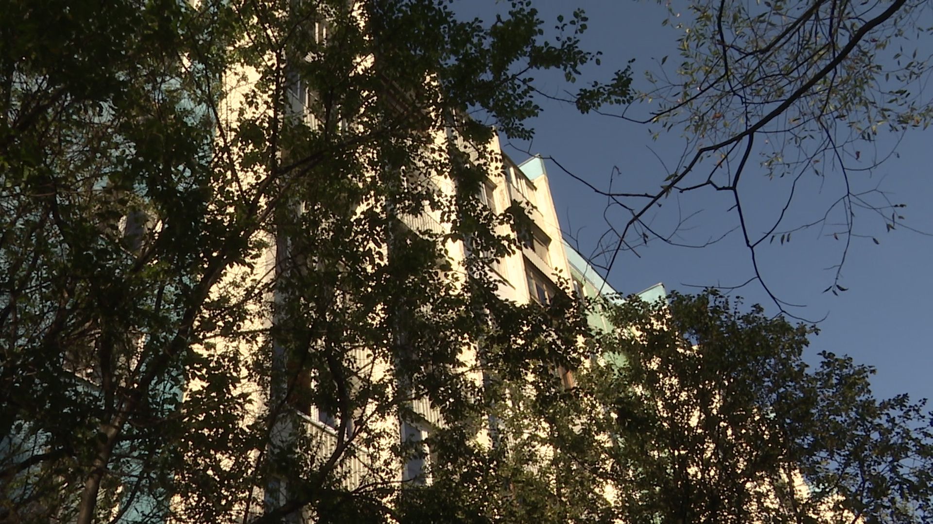 Реутов, благоустройство, фонари, проводка, освещение,