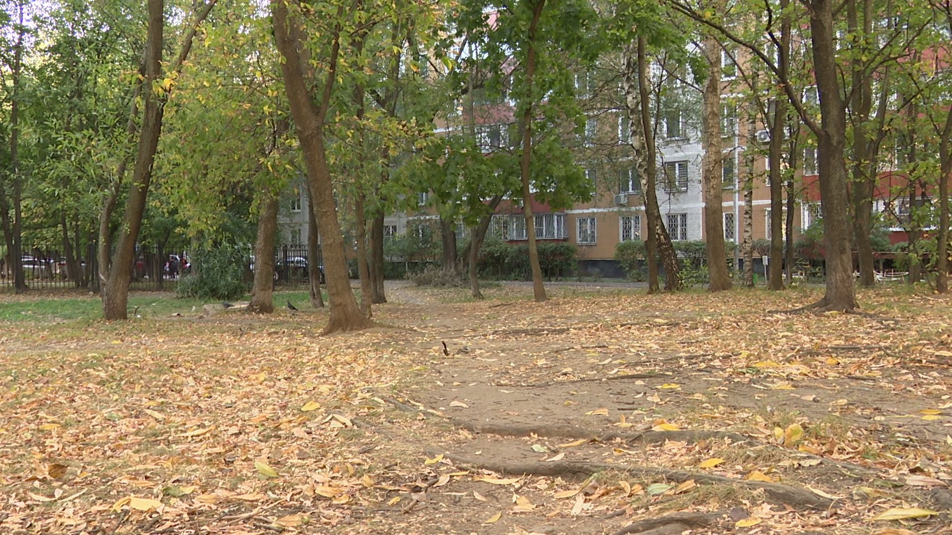 Реутов, благоустройство, фонари, проводка, освещение,