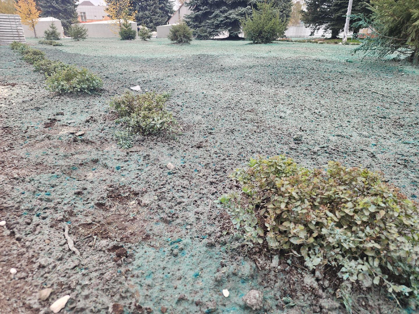 благоустройство 2024, ликино-дулево, орехово-зуевский округ,