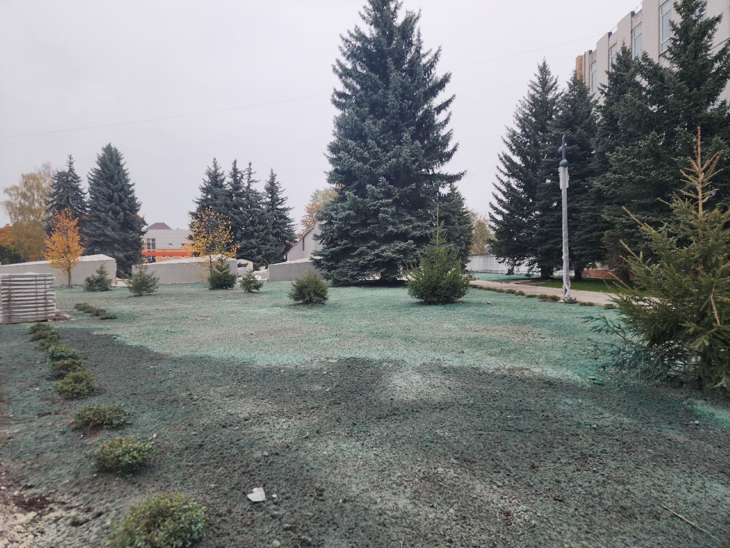 благоустройство 2024, ликино-дулево, орехово-зуевский округ,