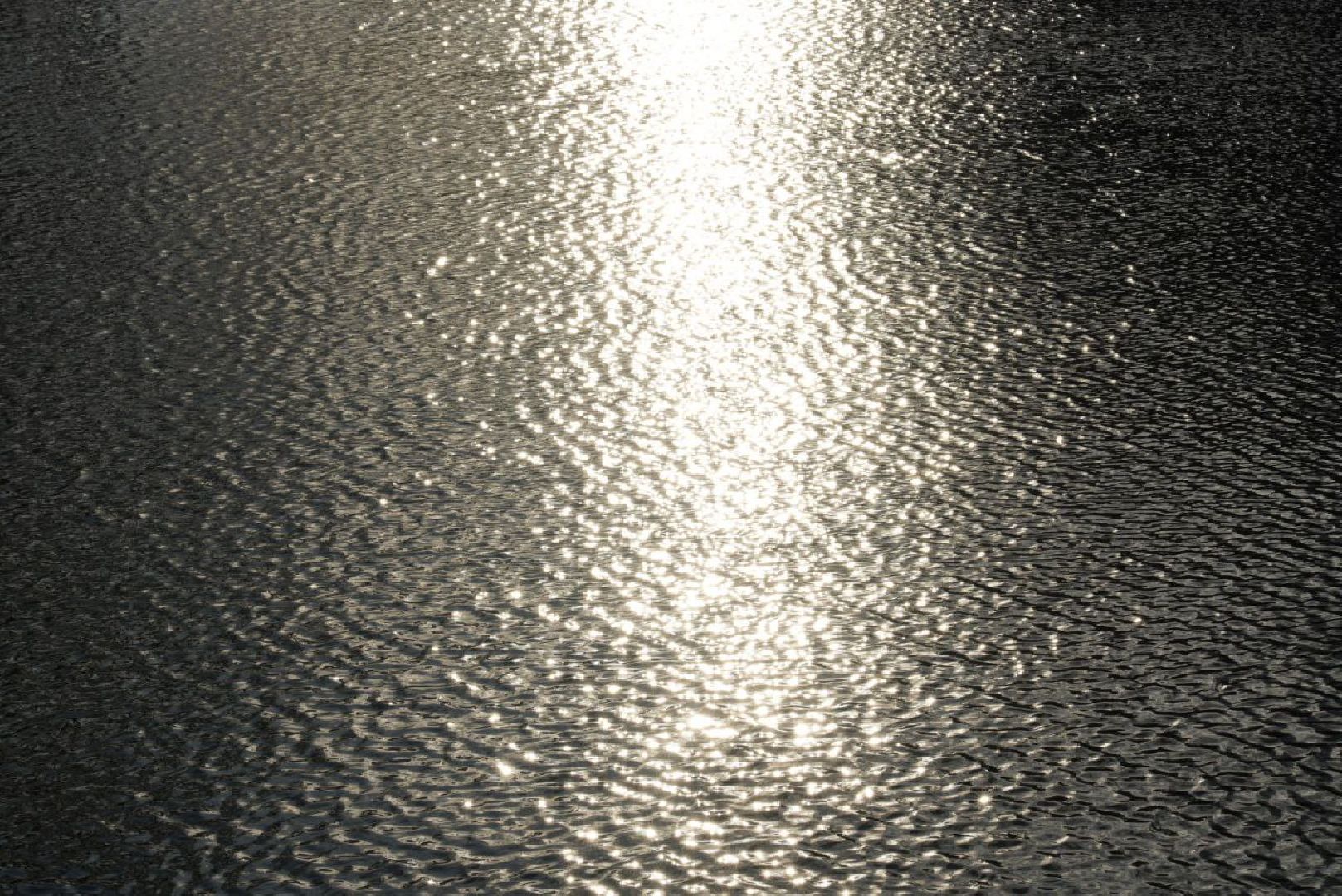 Экология, Благоустройство, Сергиев Посад, Пруд, Водоем,