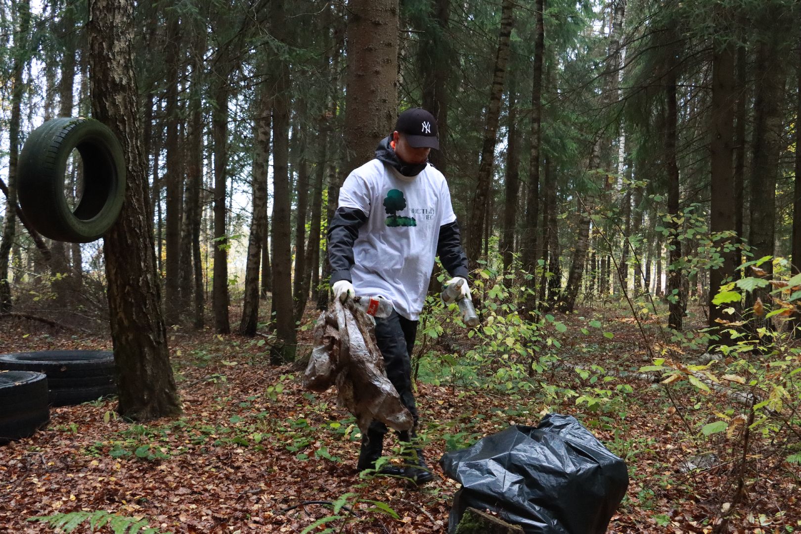 чистый лес, лесничество, экологическая акция,