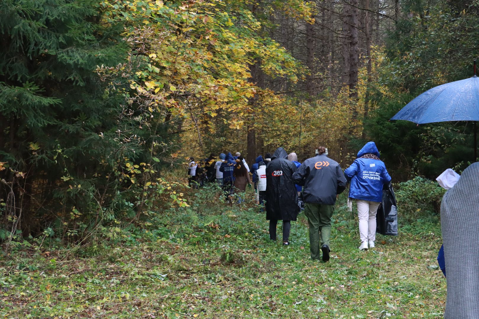 чистый лес, лесничество, экологическая акция,