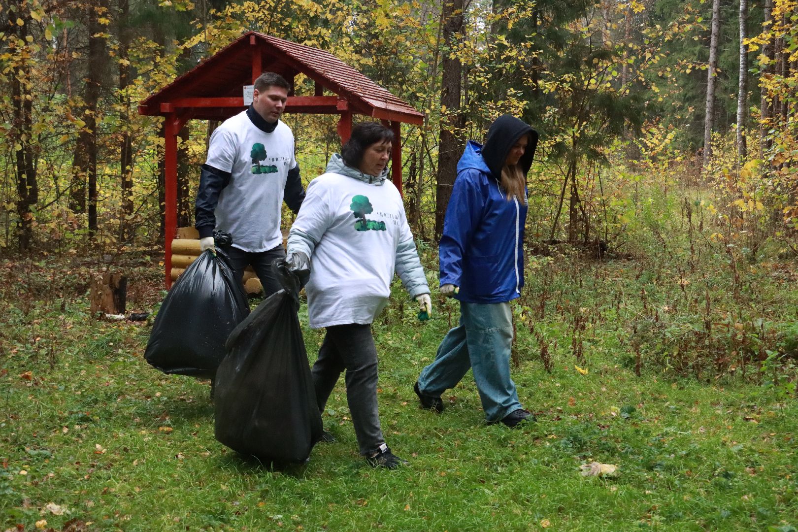 чистый лес, лесничество, экологическая акция,