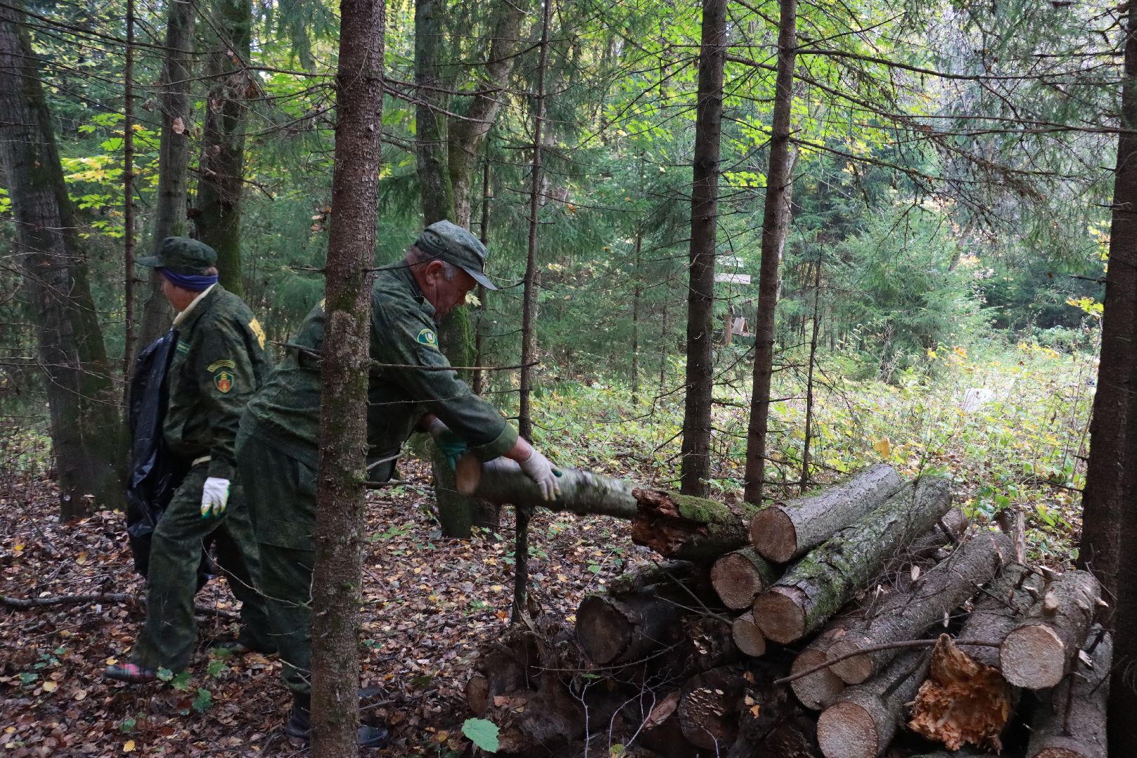 чистый лес, лесничество, экологическая акция,
