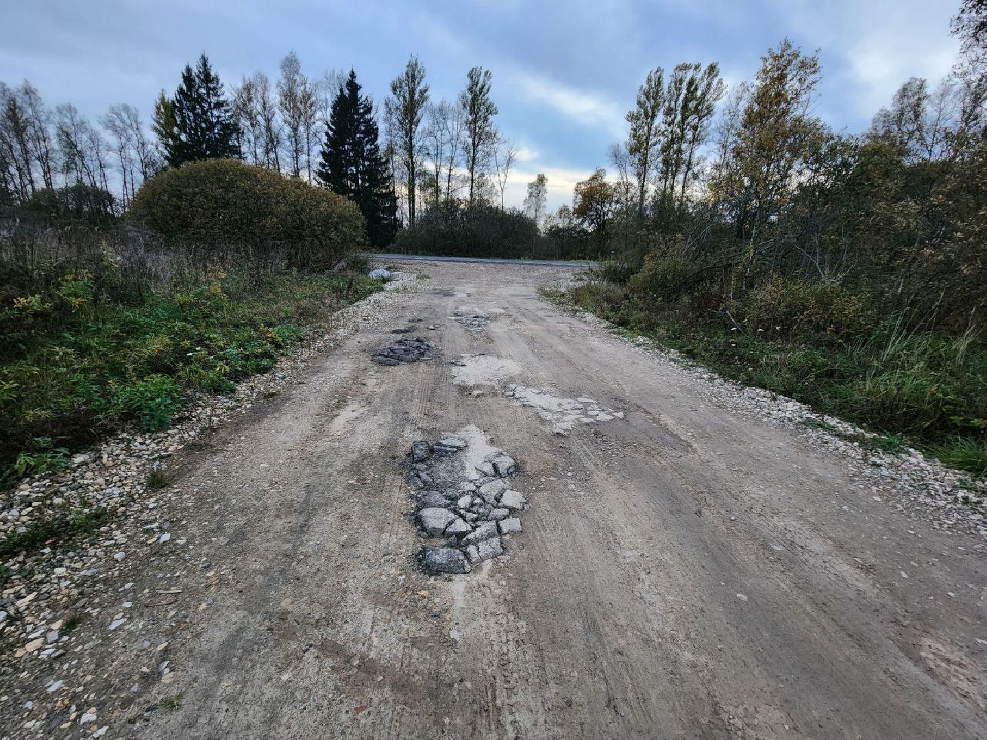 можайск, можайский городской округ, подмосковье, выездная администрация, власть, обращения граждан, ремонт дороги, многодетные семьи, жители, встреча с жителями,