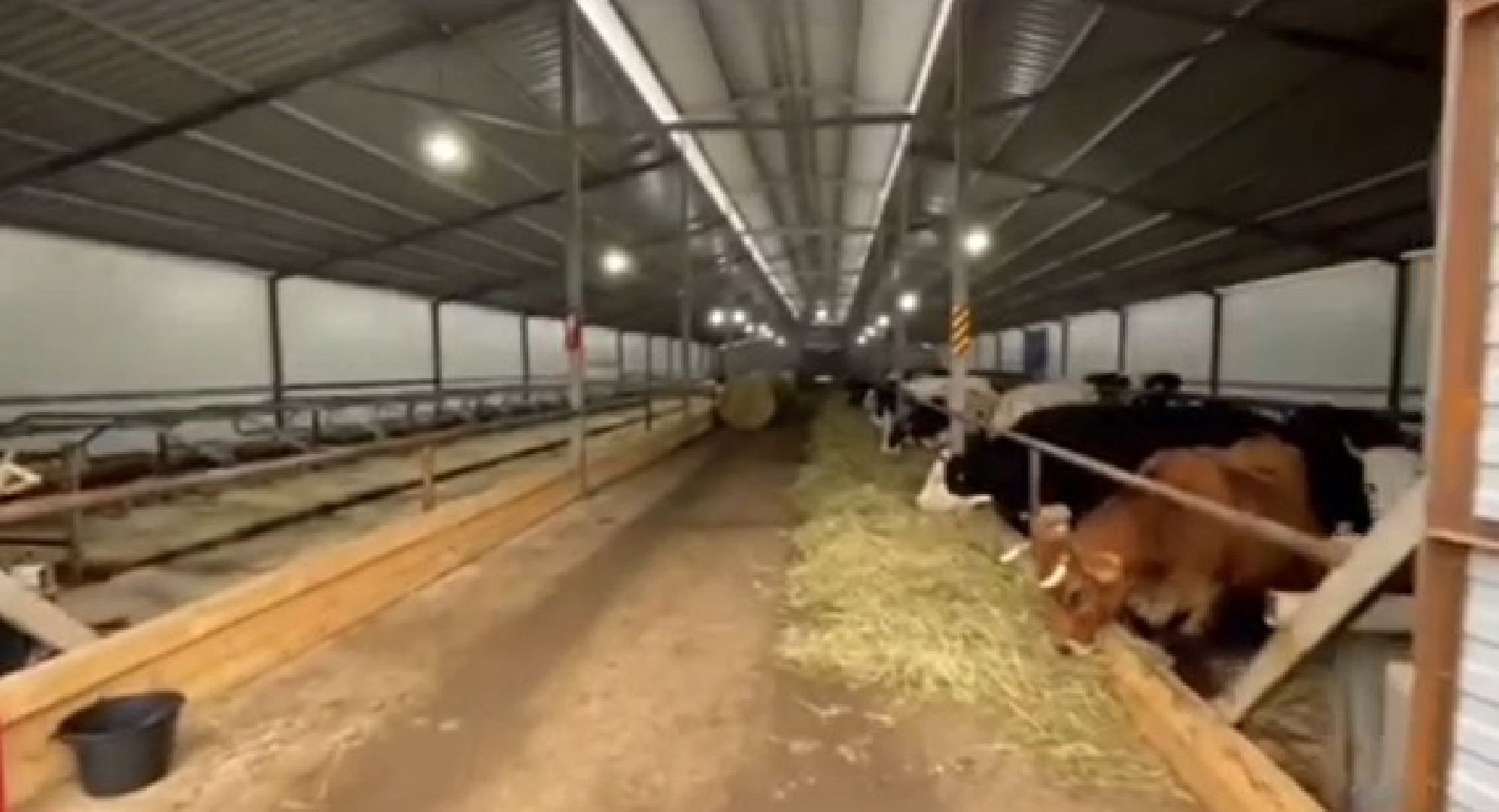 Дмитров, КФХ Свободный труд, Минсельхоз МО