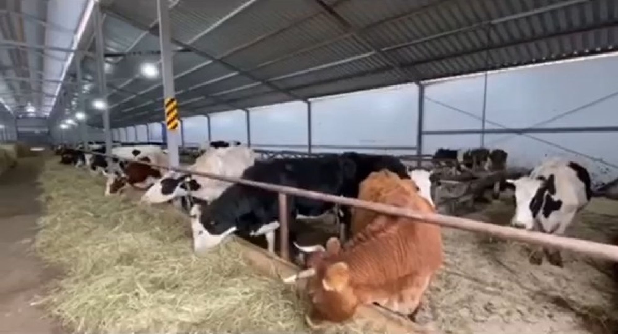 Дмитров, КФХ Свободный труд, Минсельхоз МО