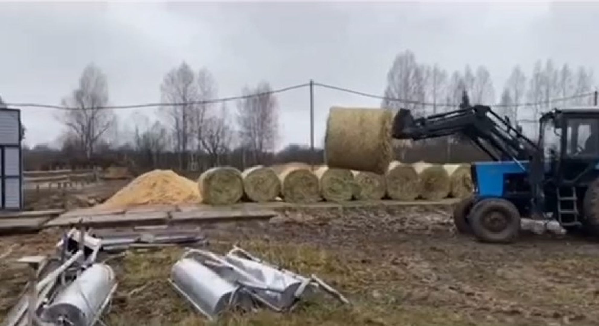 Дмитров, КФХ Свободный труд, Минсельхоз МО