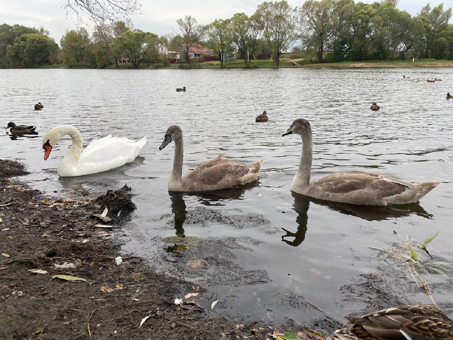 Дмитров, Водохранилище в Орудьево,