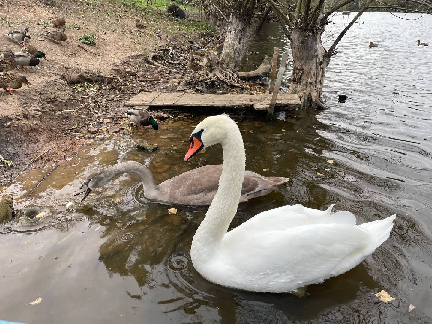 Дмитров, Водохранилище в Орудьево,