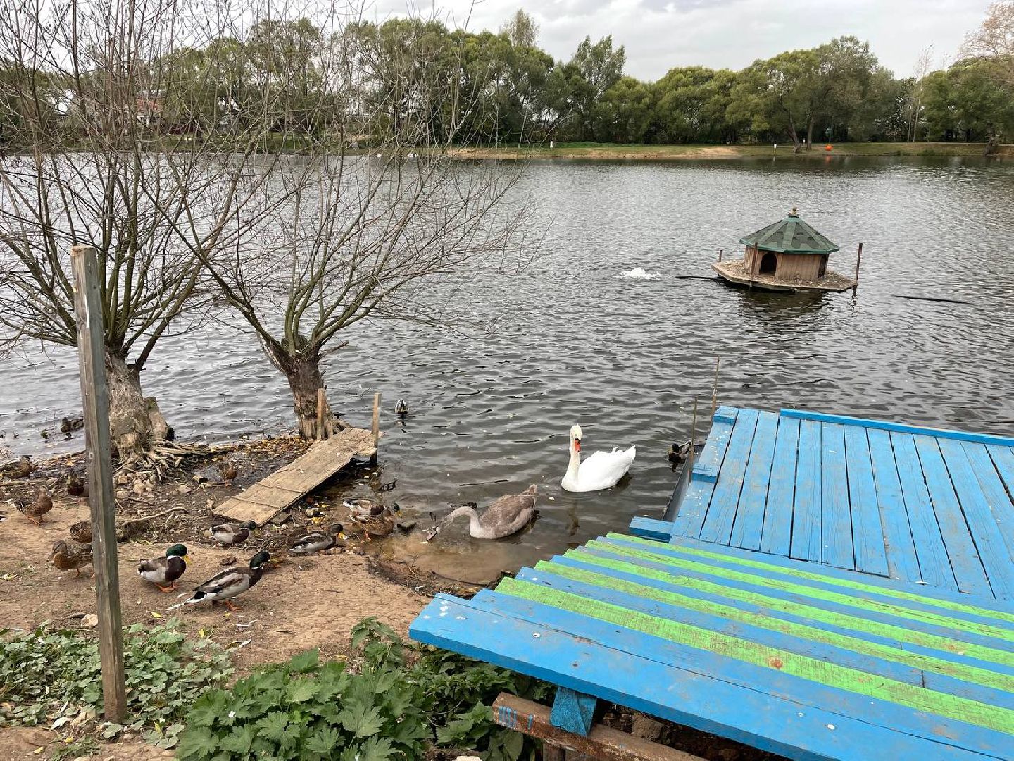Дмитров, Водохранилище в Орудьево,