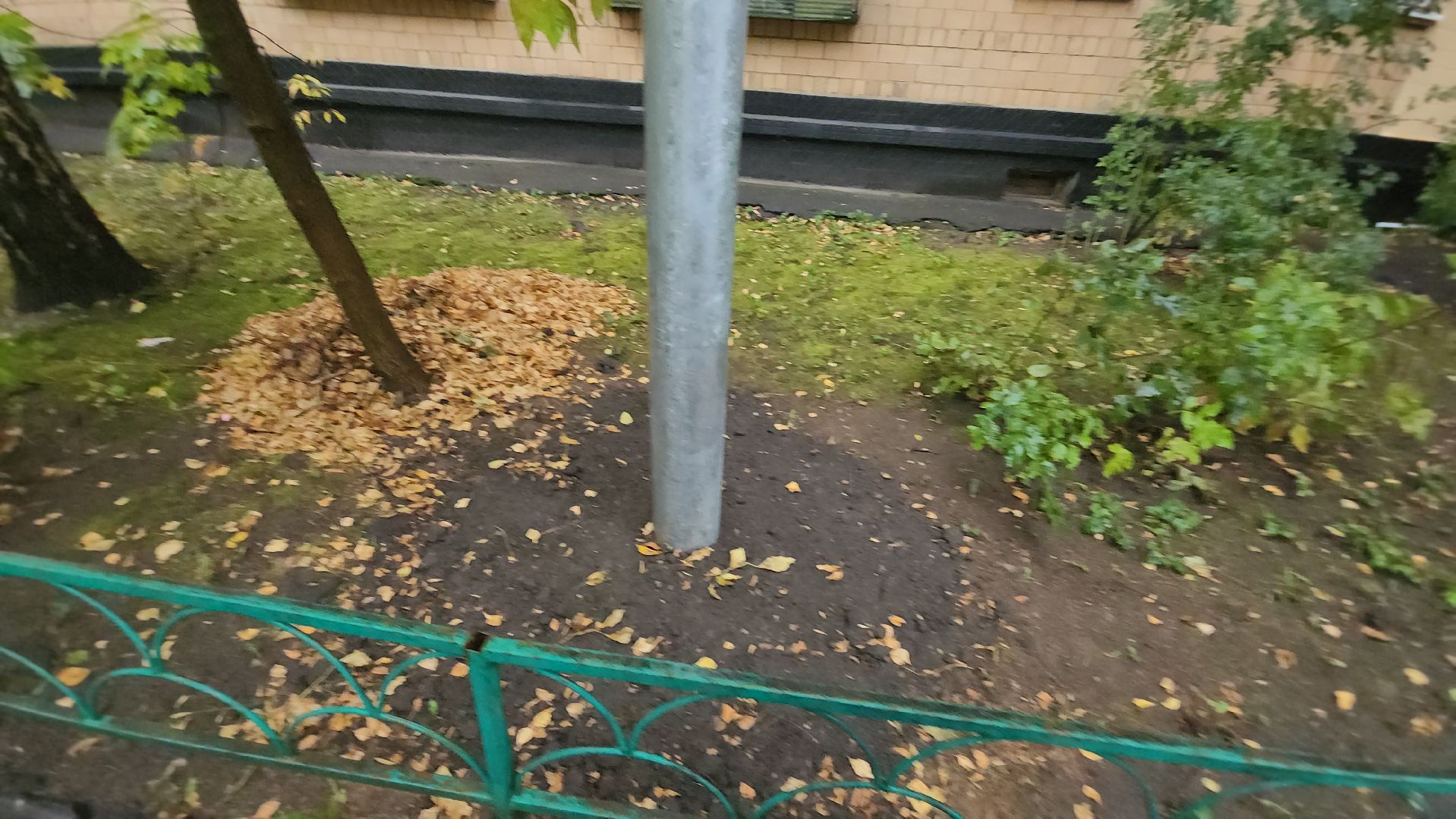 одинцово, светлый город,