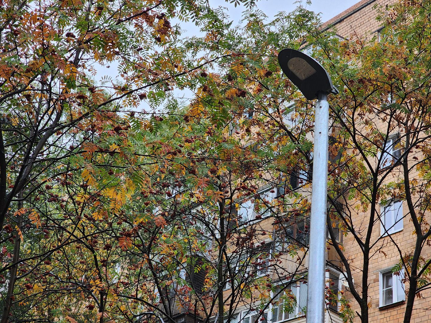 одинцово, светлый город,