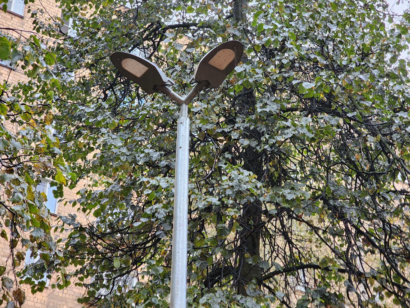 одинцово, светлый город,