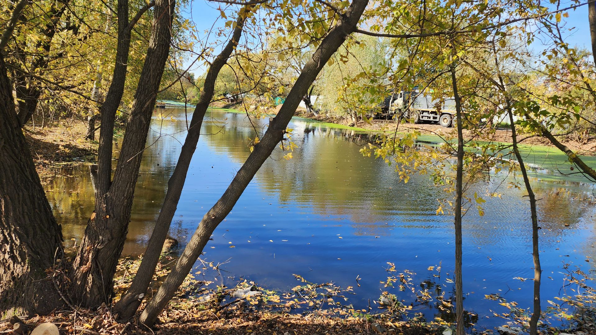 люберцы, деревня Токарево, водный экскаватор,