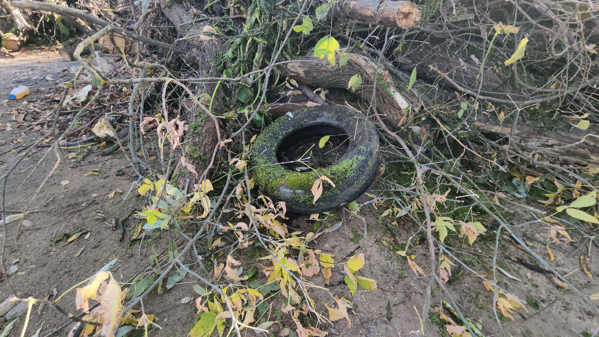 люберцы, деревня Токарево, водный экскаватор,