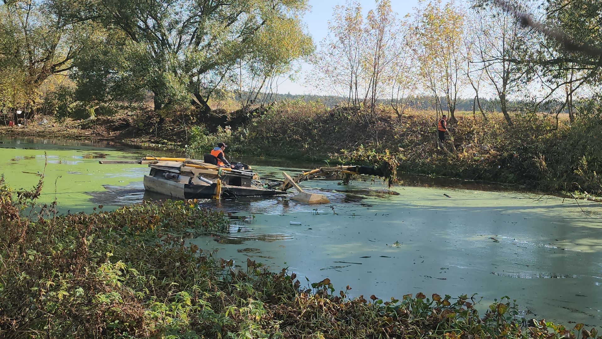 люберцы, деревня Токарево, водный экскаватор,