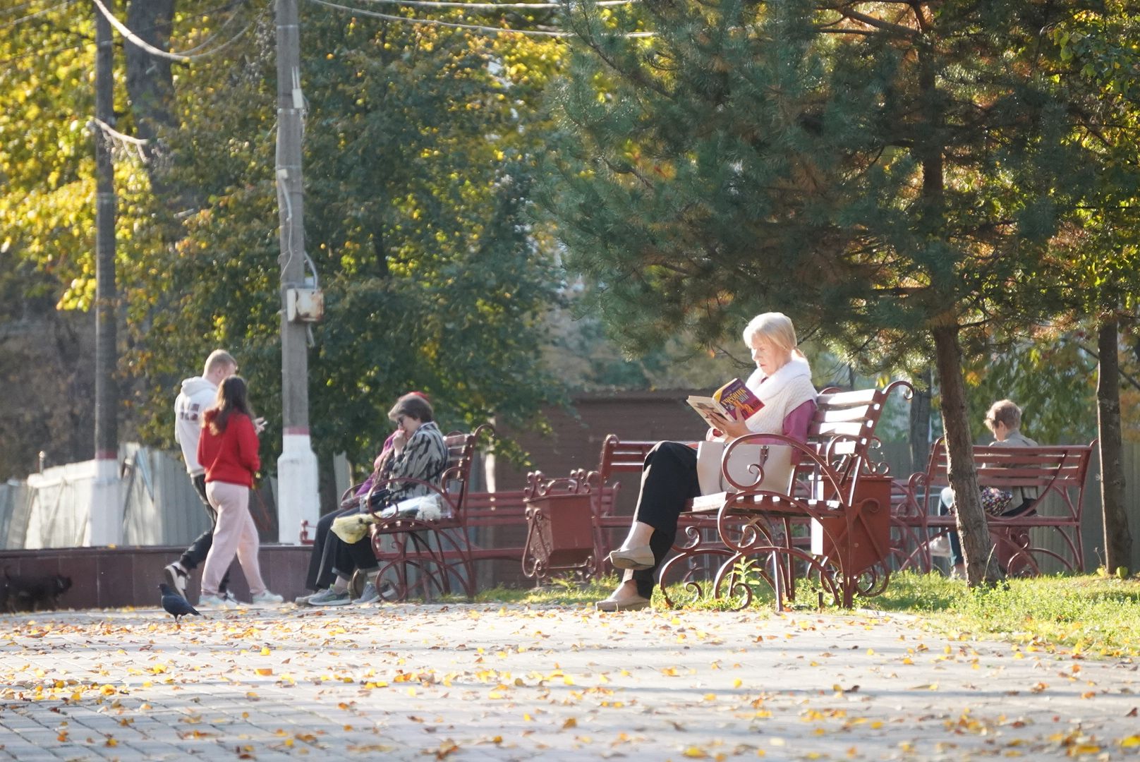 Павловский Посад, Городской округ Павловский Посад, Выездная администрация, Обращения, Вопросы, Жители, Люди,