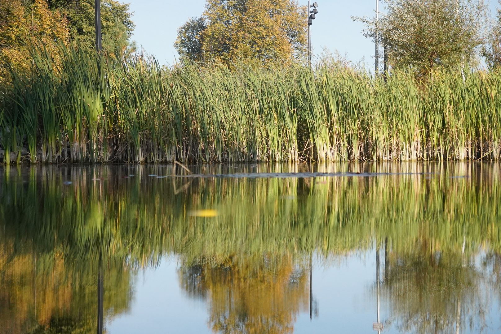 Павловский Посад, Городской округ Павловский Посад, Жители, Люди, Выездная администрация, Власть,