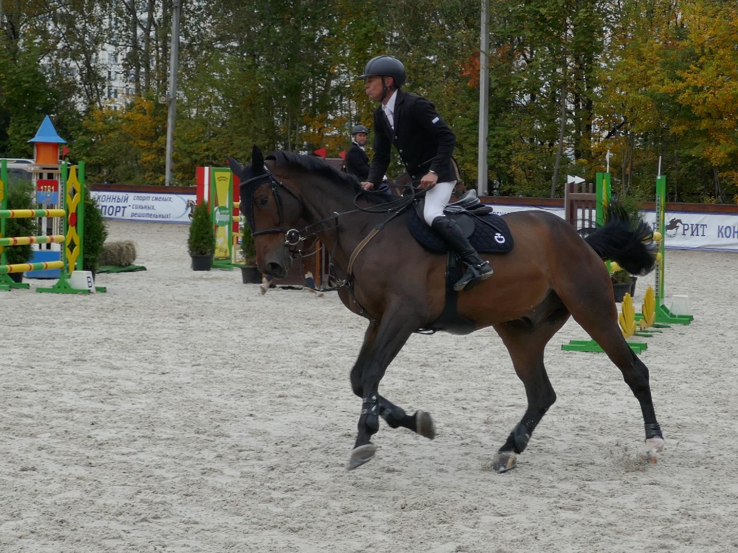 Подольск, Конкур, День города, Спорт, Фаворит,