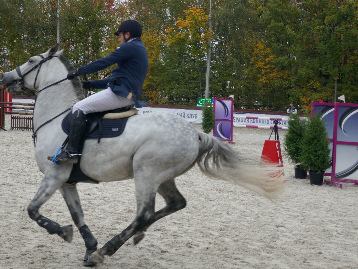Подольск, Конкур, День города, Спорт, Фаворит,