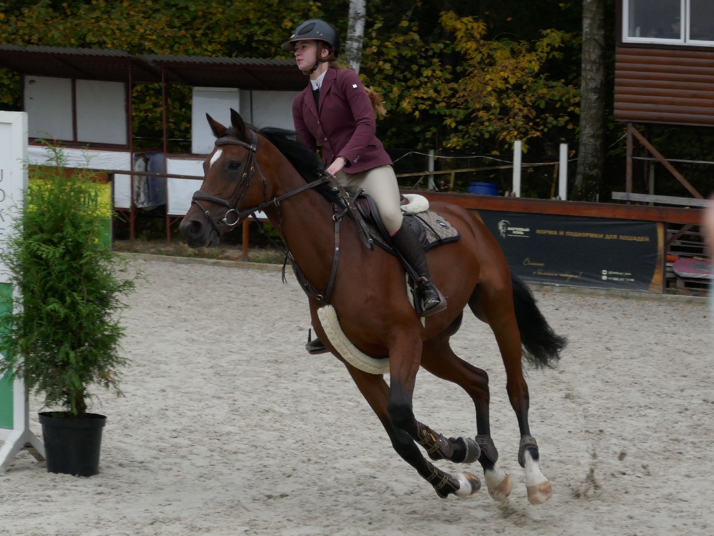 Подольск, Конкур, День города, Спорт, Фаворит,