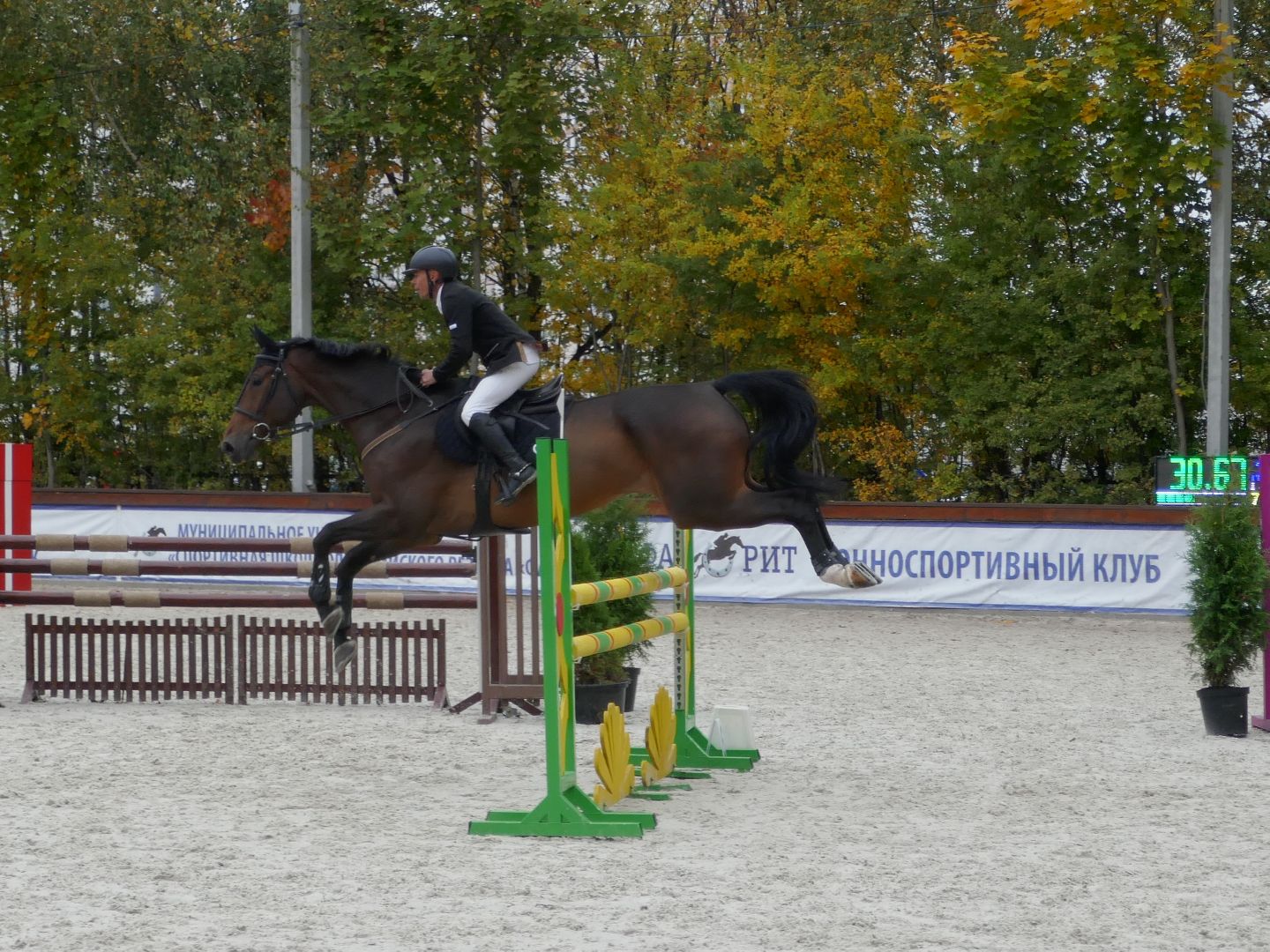 Подольск, Конкур, День города, Спорт, Фаворит,