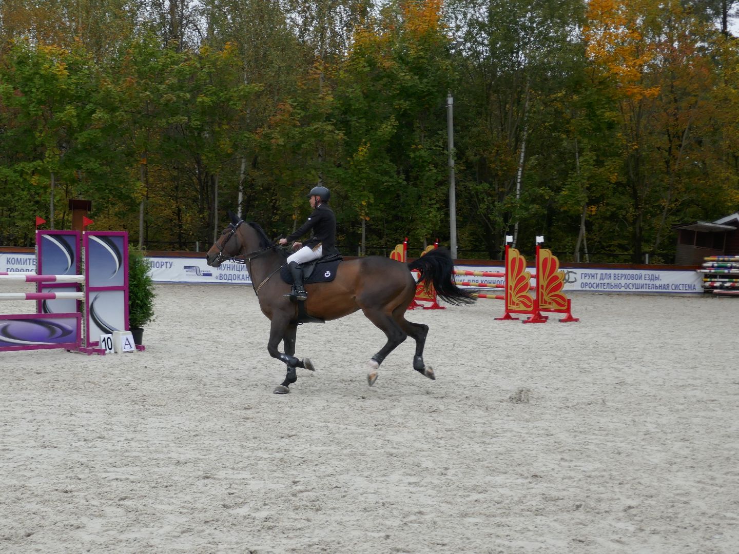 Подольск, Конкур, День города, Спорт, Фаворит,