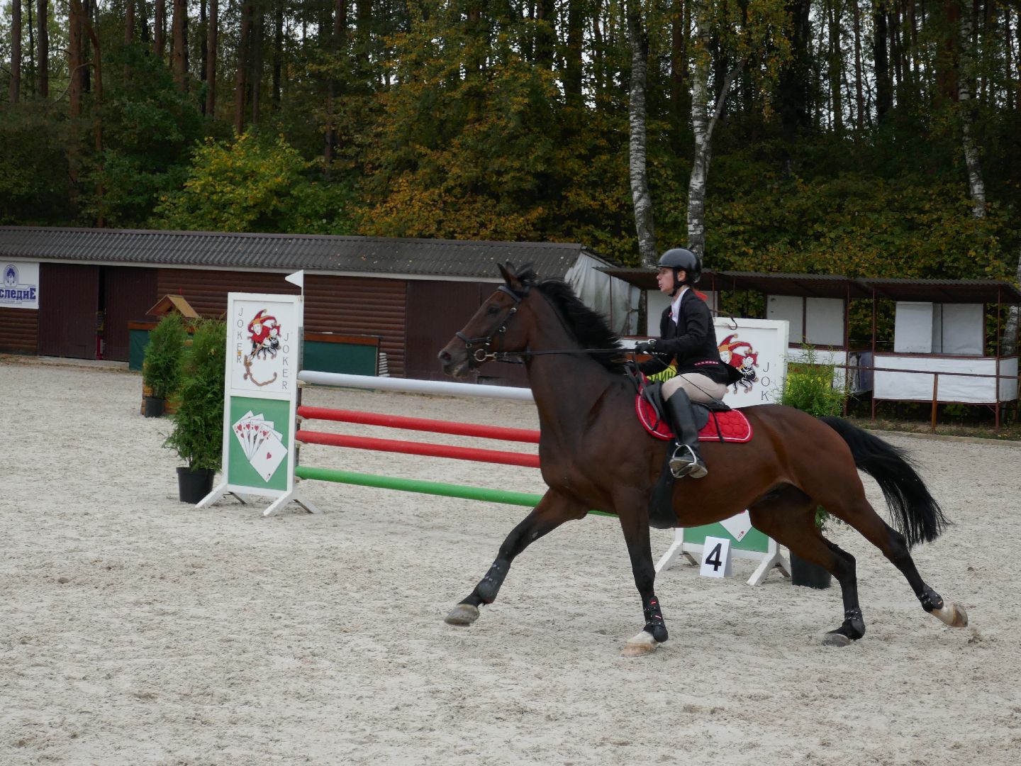 Подольск, Конкур, День города, Спорт, Фаворит,