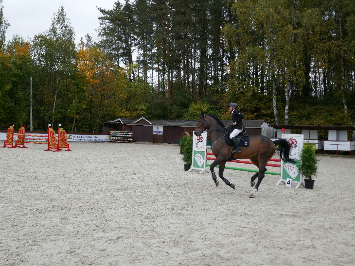 Подольск, Конкур, День города, Спорт, Фаворит,