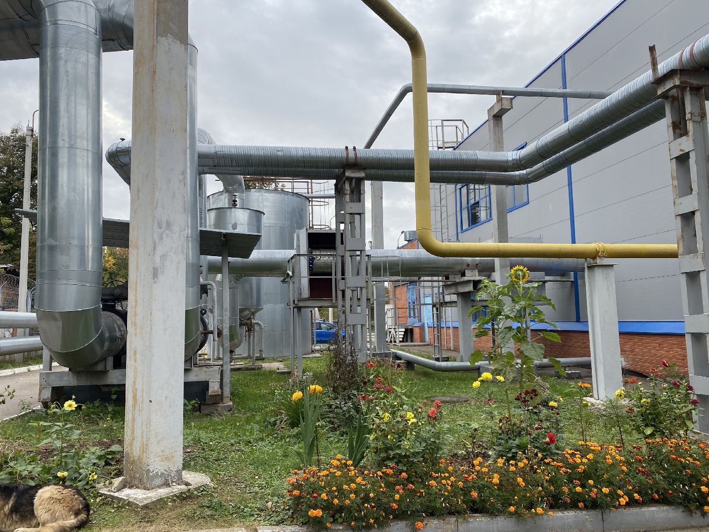 жкх, Подмосковье, домодедово, подача тепла, Отопление, Отопительный сезон,