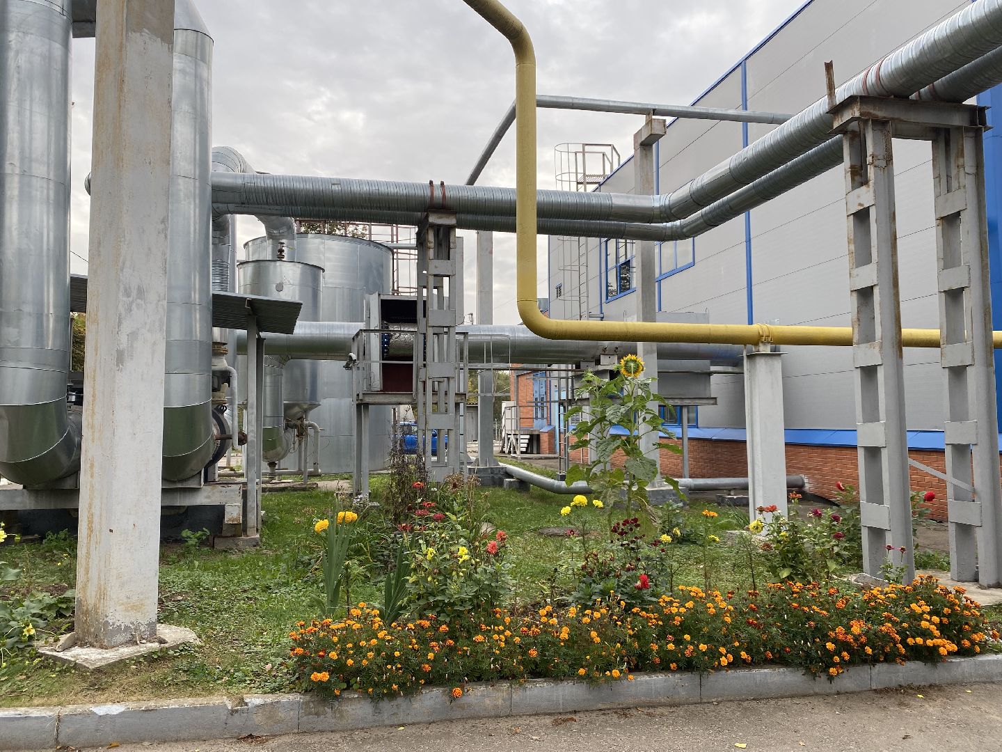 жкх, Подмосковье, домодедово, подача тепла, Отопление, Отопительный сезон,